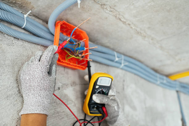 Best Electric Panel Repair  in Whitewater, CA
